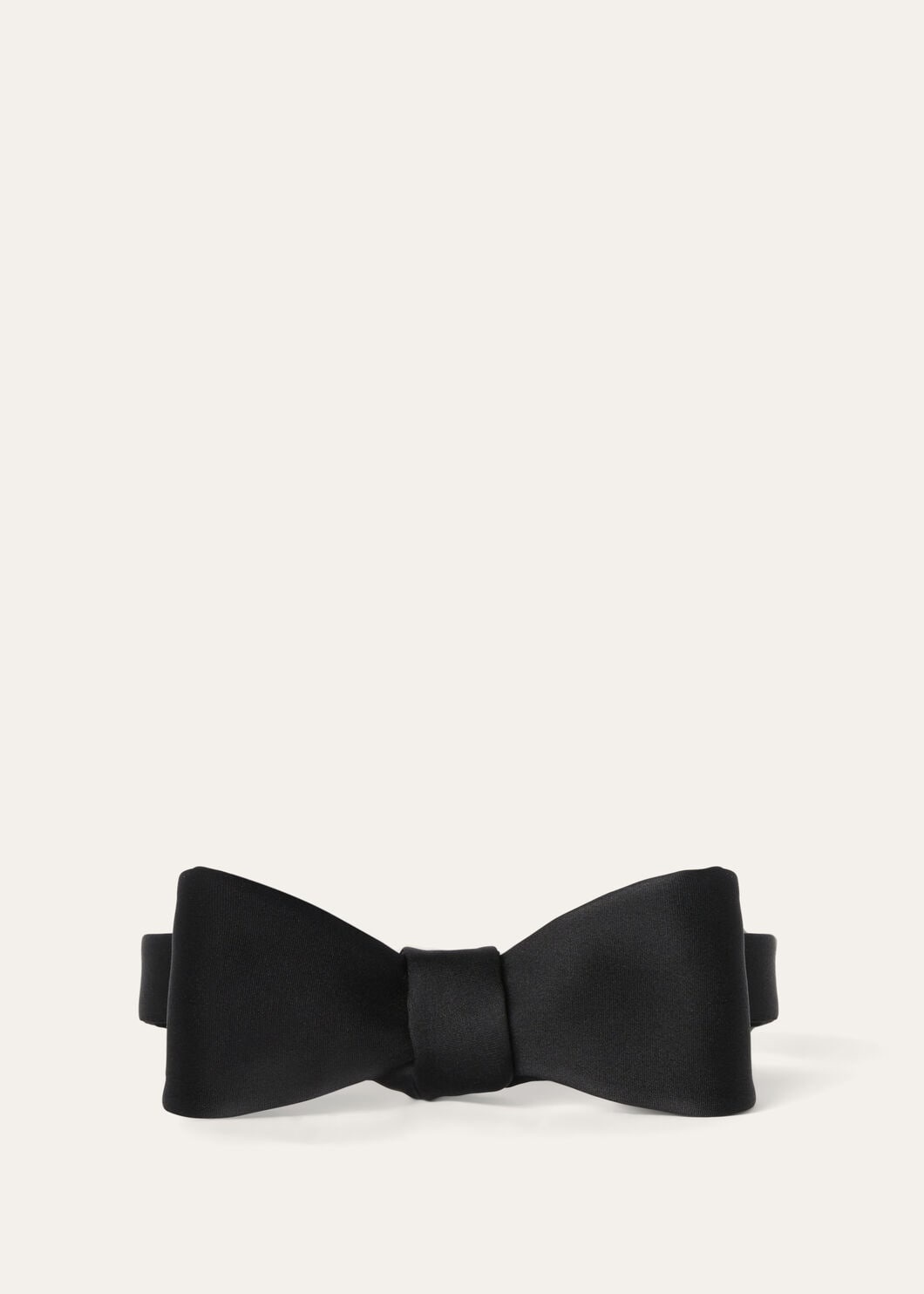 Papillon Bow Tie - 2