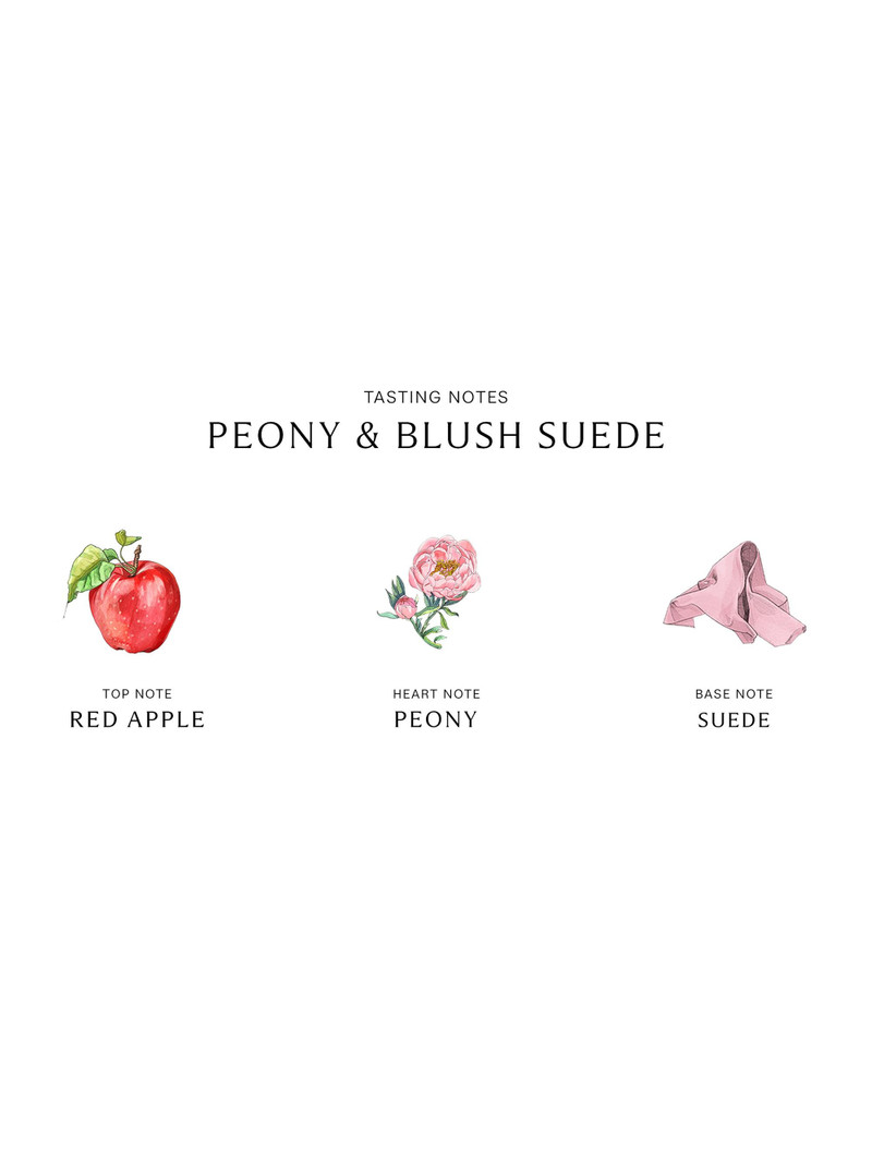 Peony & Blush Suede Luxury Candle 4
