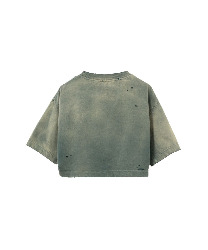 Sun Faded Like Crop T-shirt 22