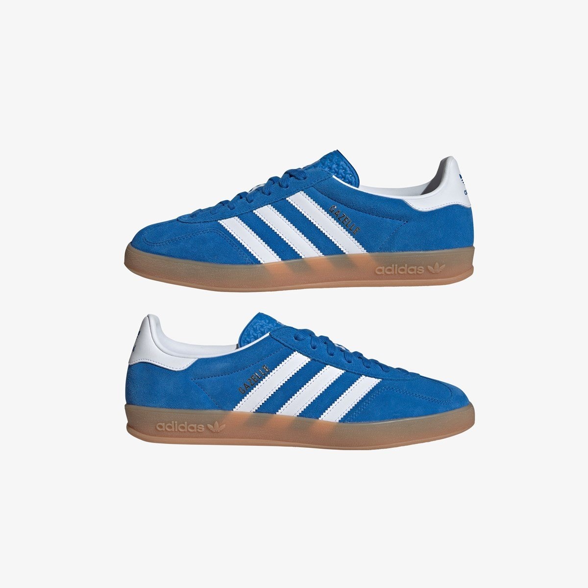 Gazelle Indoor - 9