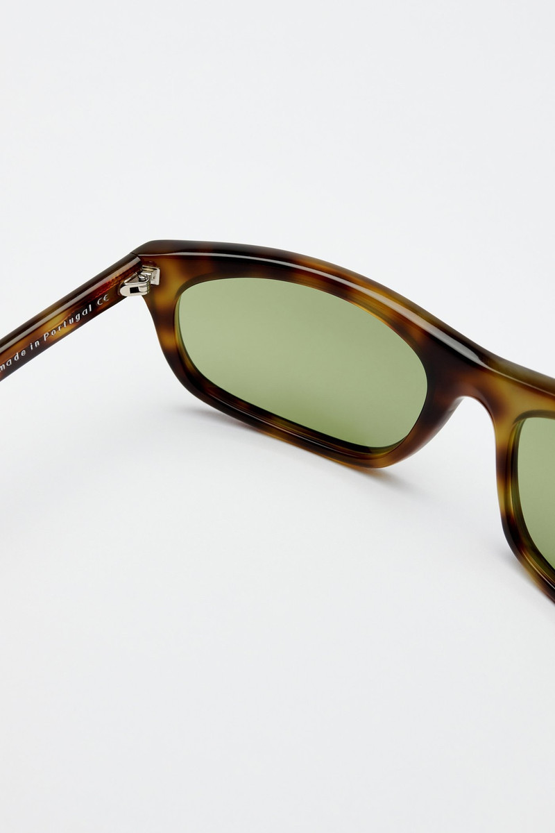 Shelter Venice Beach Turtle 4