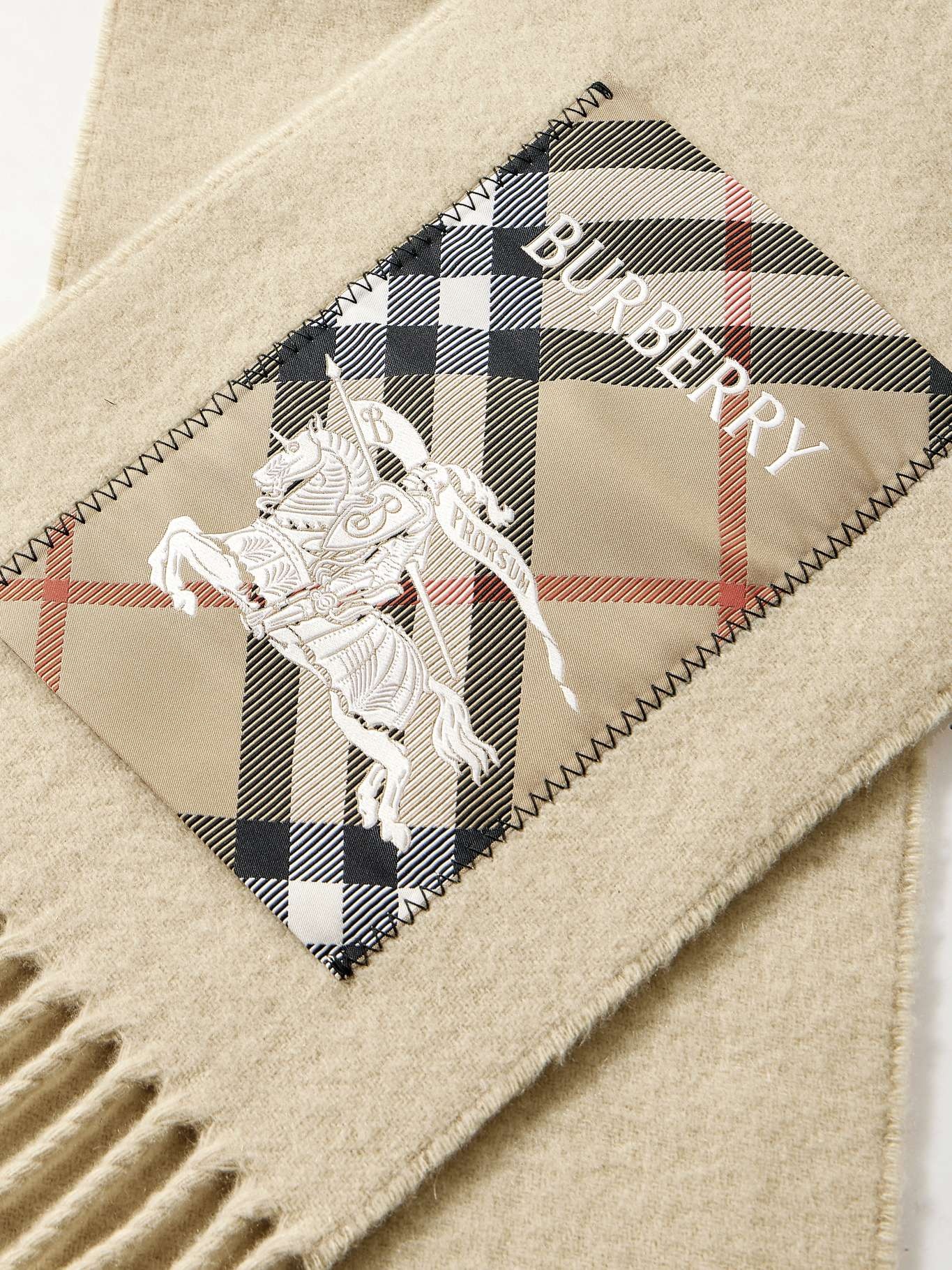 Fringed appliquéd cashmere scarf Beige - 3