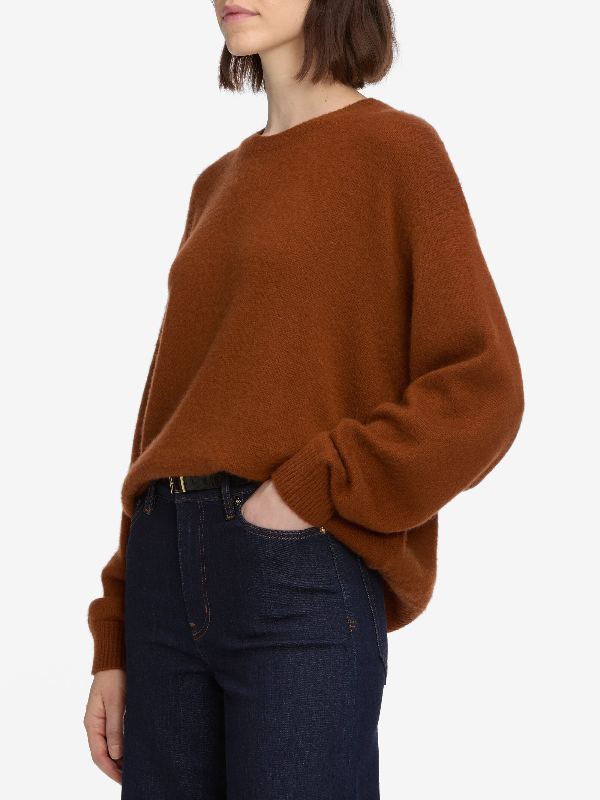 The Cashmere Brushed Sweater in Rust - 5