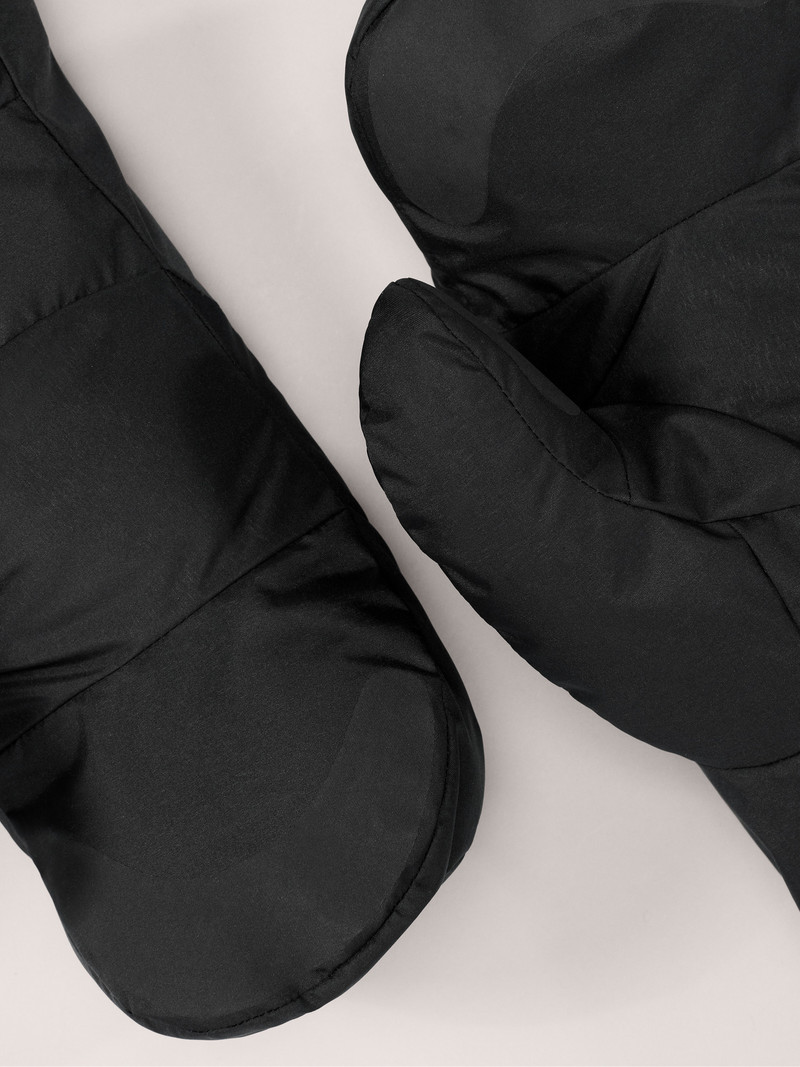 Arc'teryx 베타 아래로 Mitten outlook