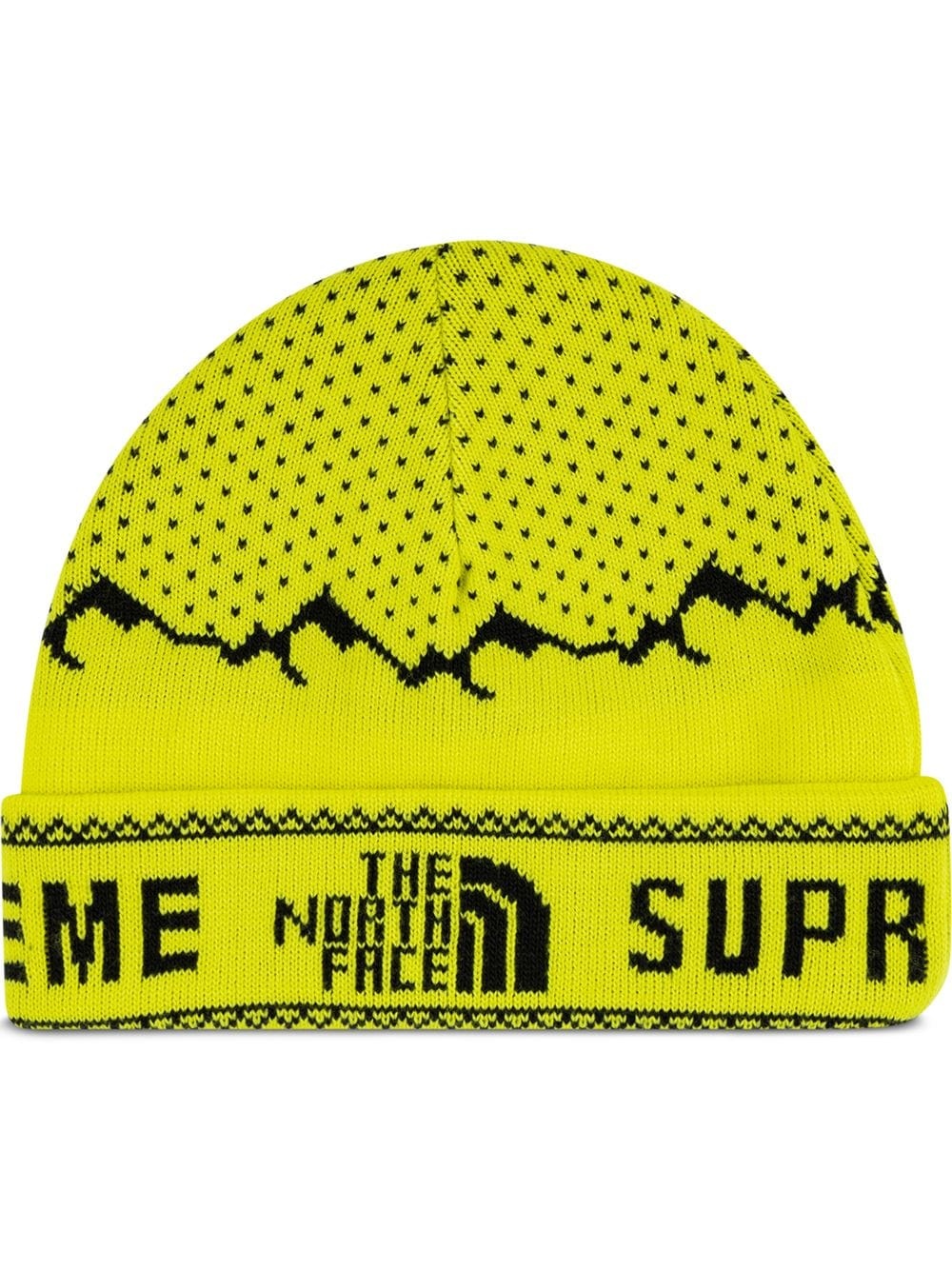 TNF fold beanie - 1