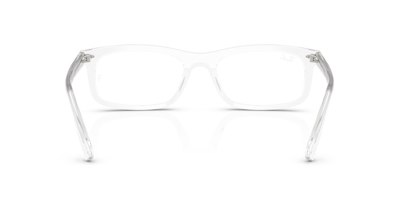 RB5450 OPTICS 6