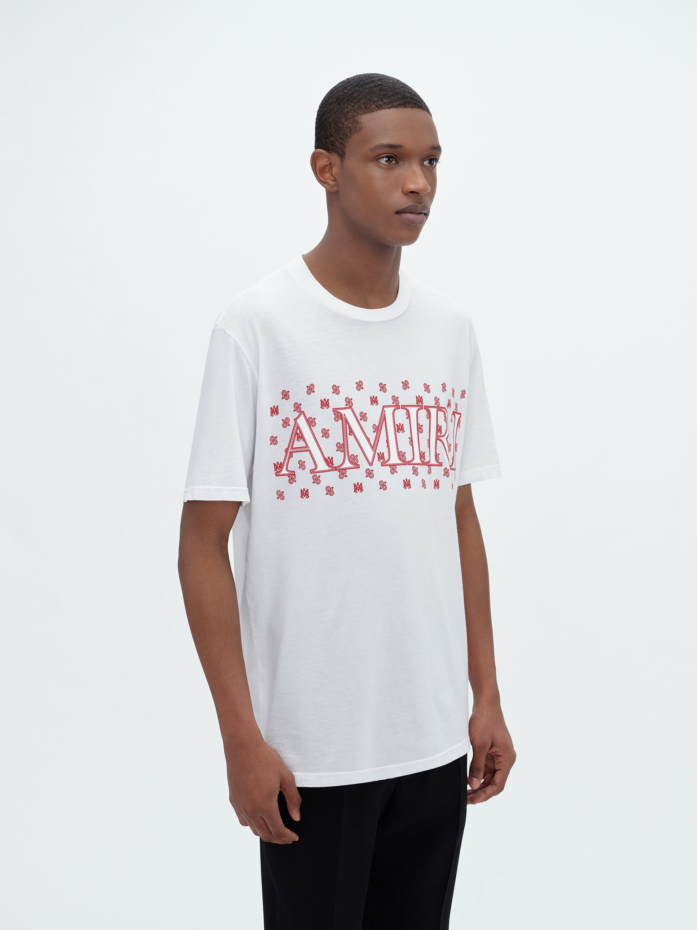 M.A. PAISLEY TEE - 3