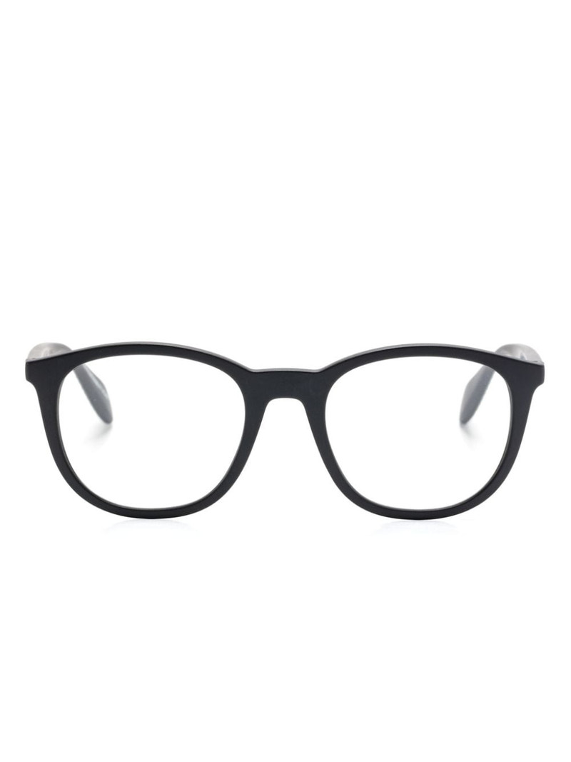 interchangeable-frames glasses 1