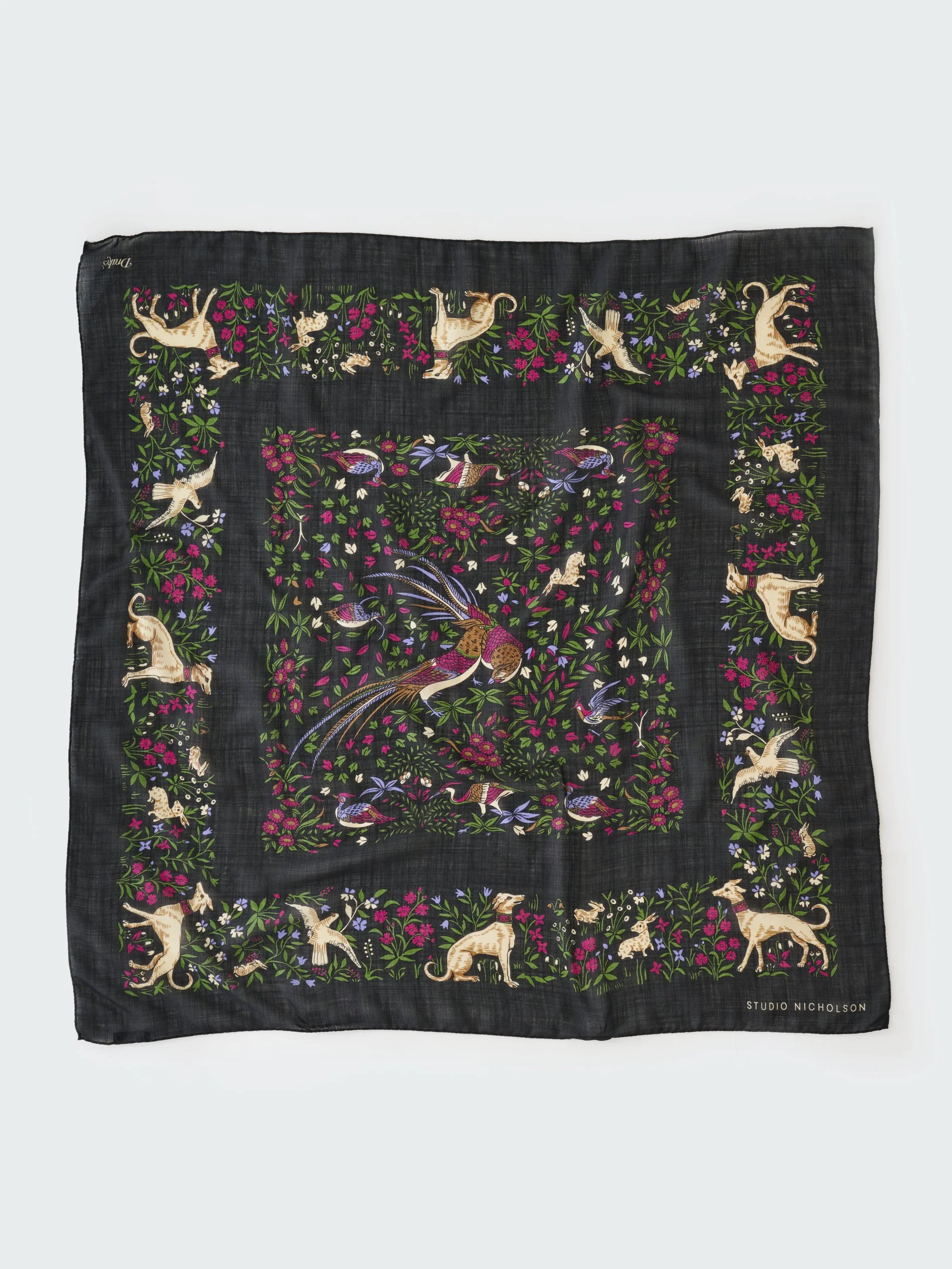 SN x Drake's Scarf - 1