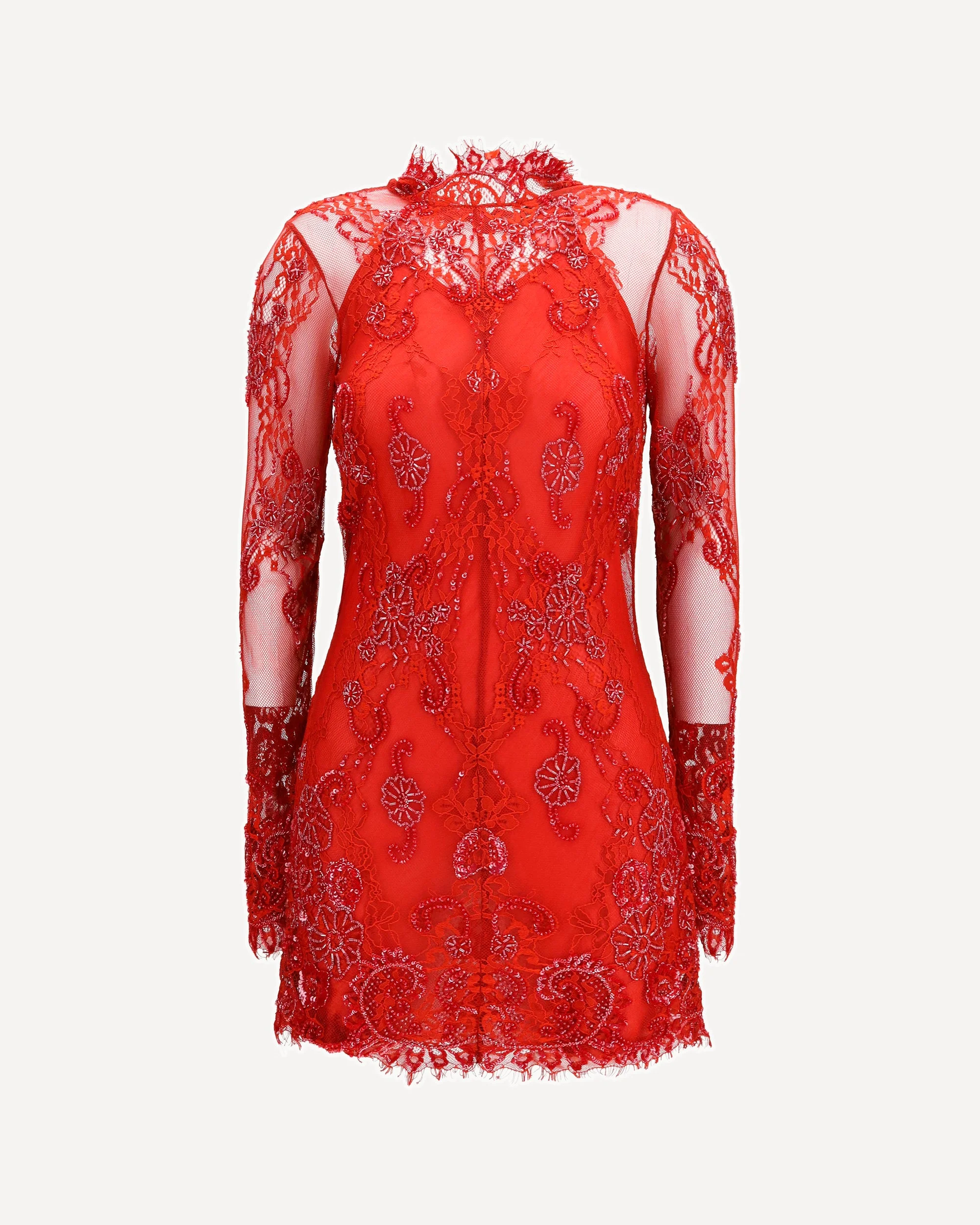 Embroidered lace Mini Dress - 1