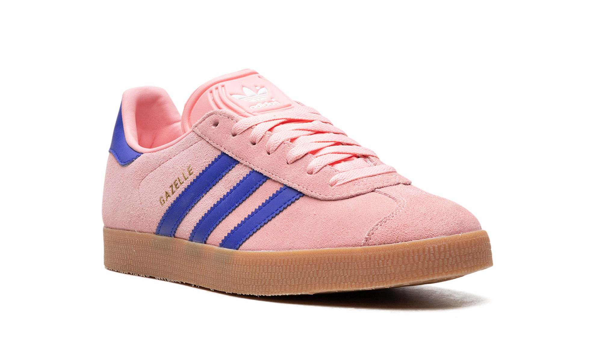 Gazelle - 7