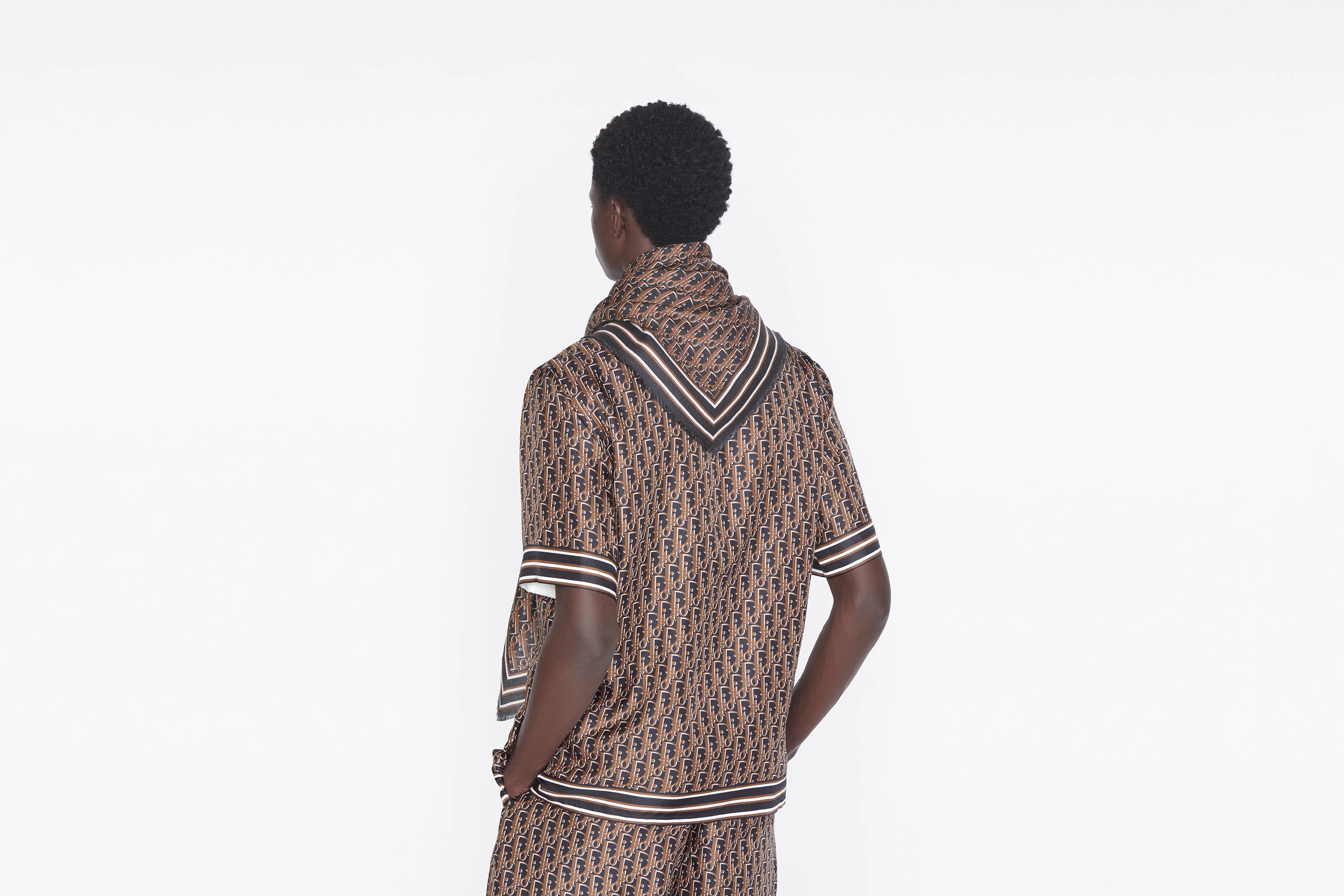 Dior Oblique Stole - 6