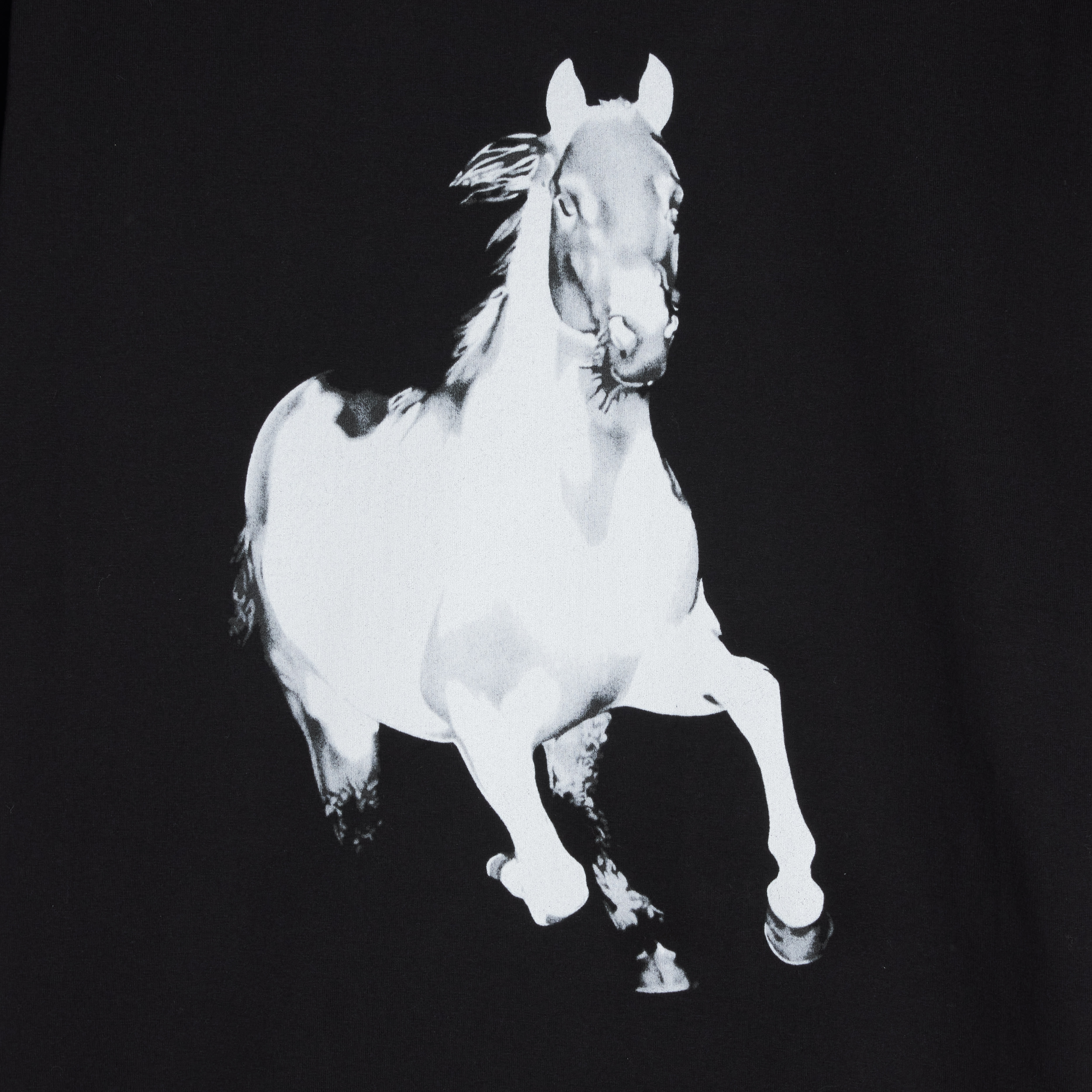 LOOSE HORSE T-SHIRT IN COTTON JERSEY - 4