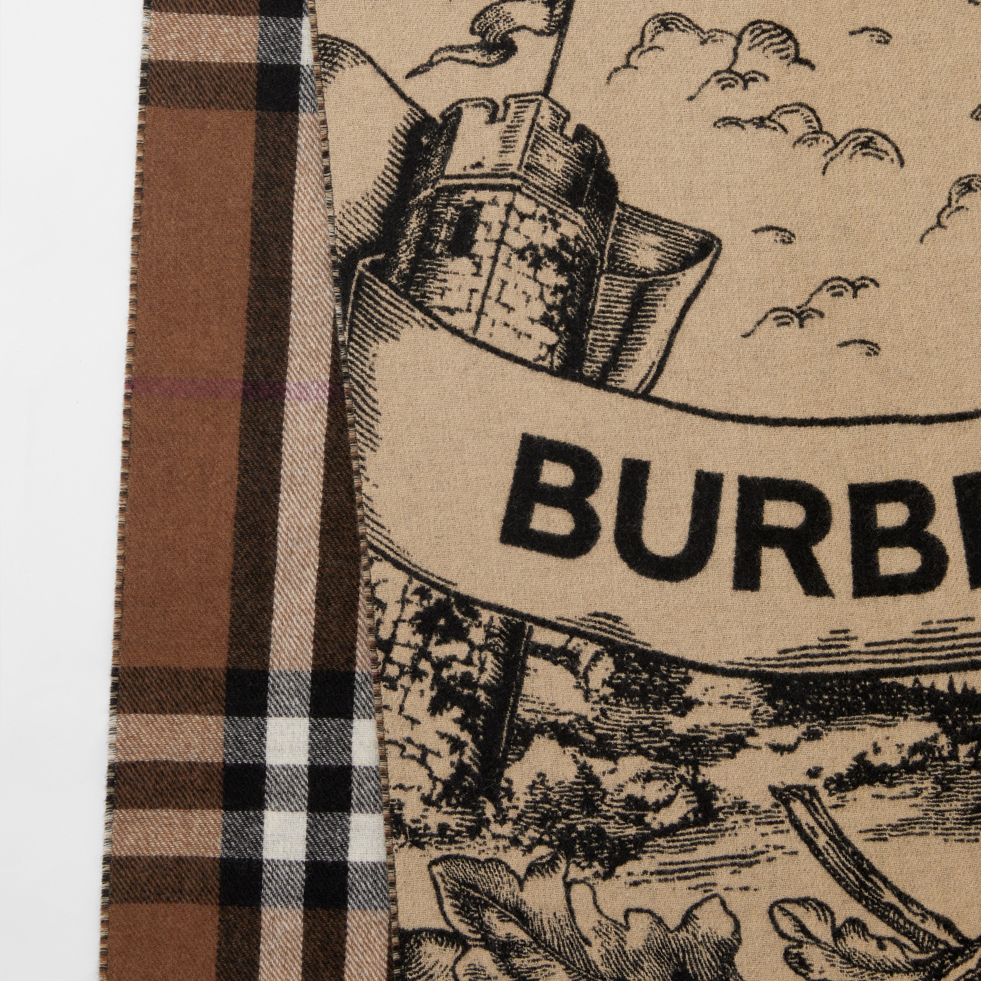 Reversible Check and EKD Cashmere Jacquard Scarf - 2