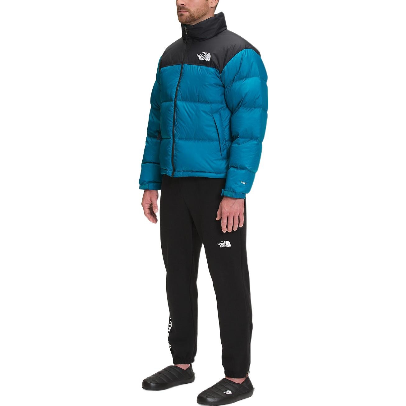 THE NORTH FACE 1996 Retro Nuptse 700 NF0A3C8D-M19 - 4