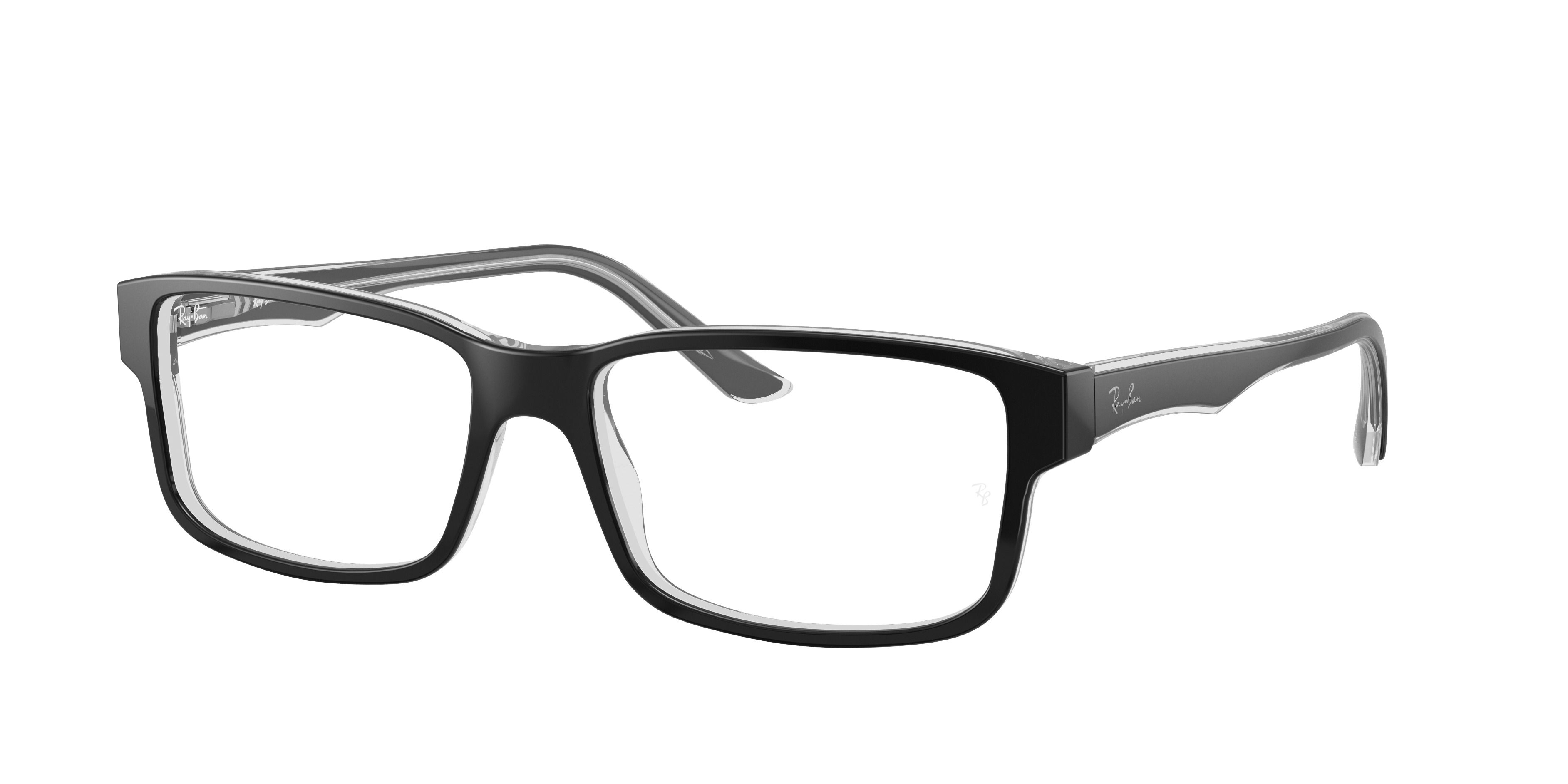 RB5245 OPTICS - 3