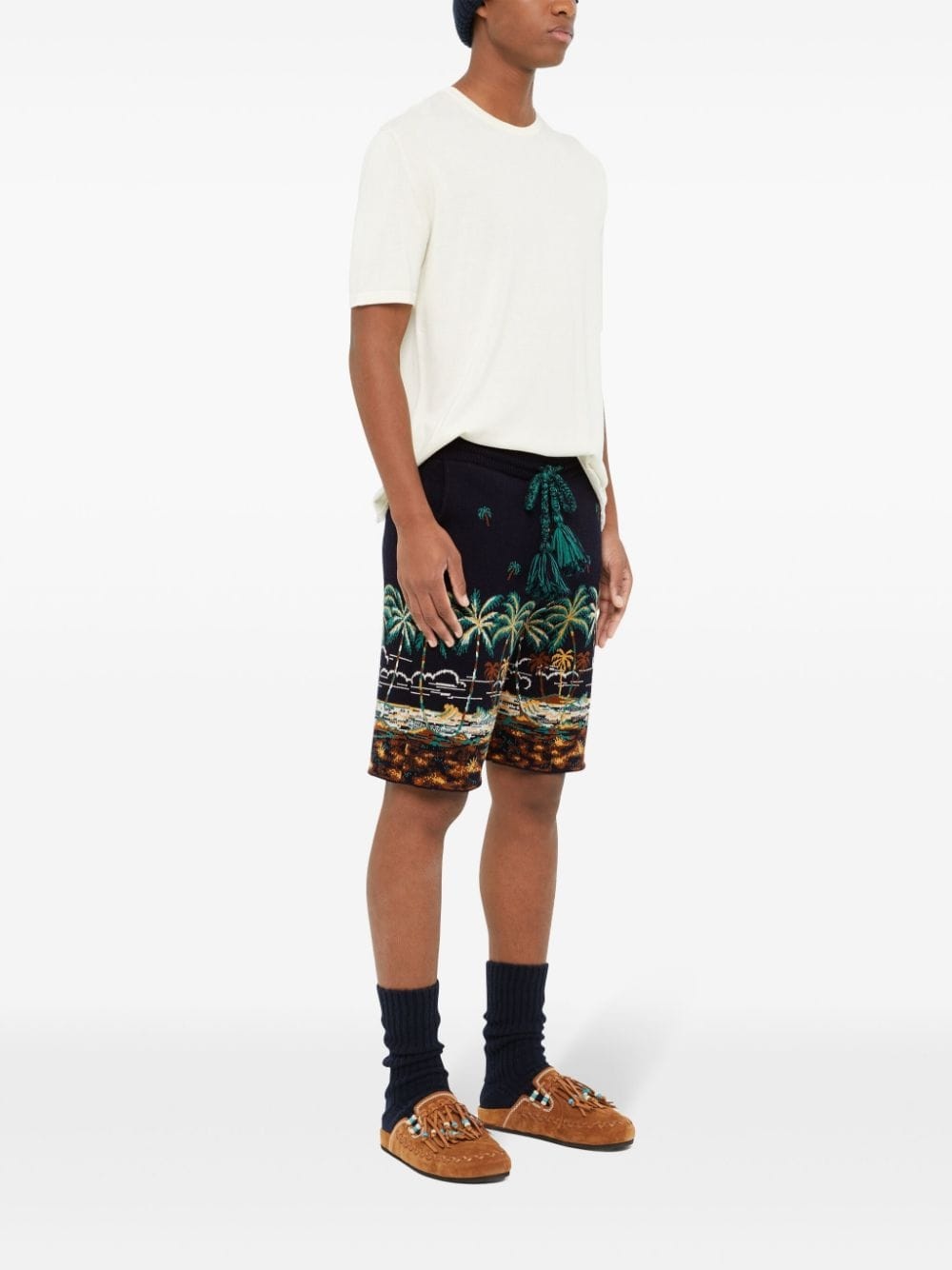 The Tale of a Hawaiian shorts - 4