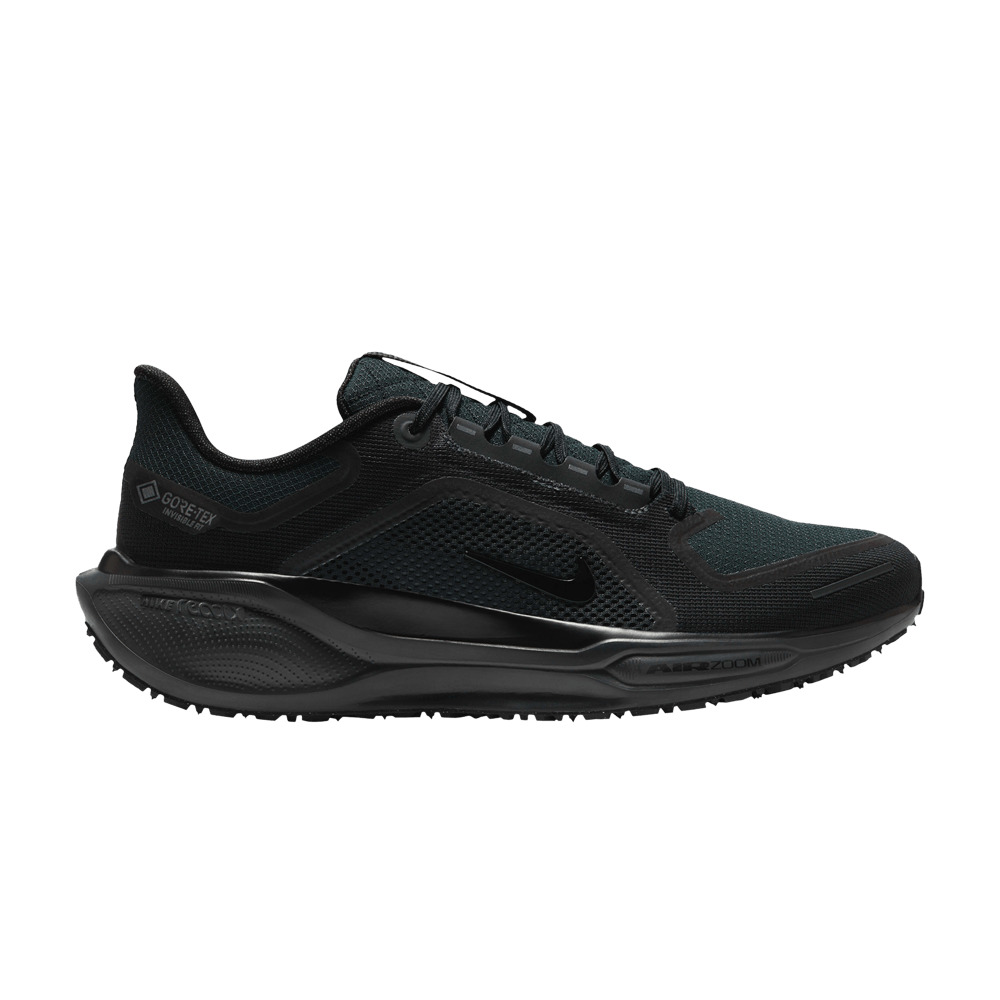 Air Zoom Pegasus 41 GORE-TEX 'Black Anthracite' - 1