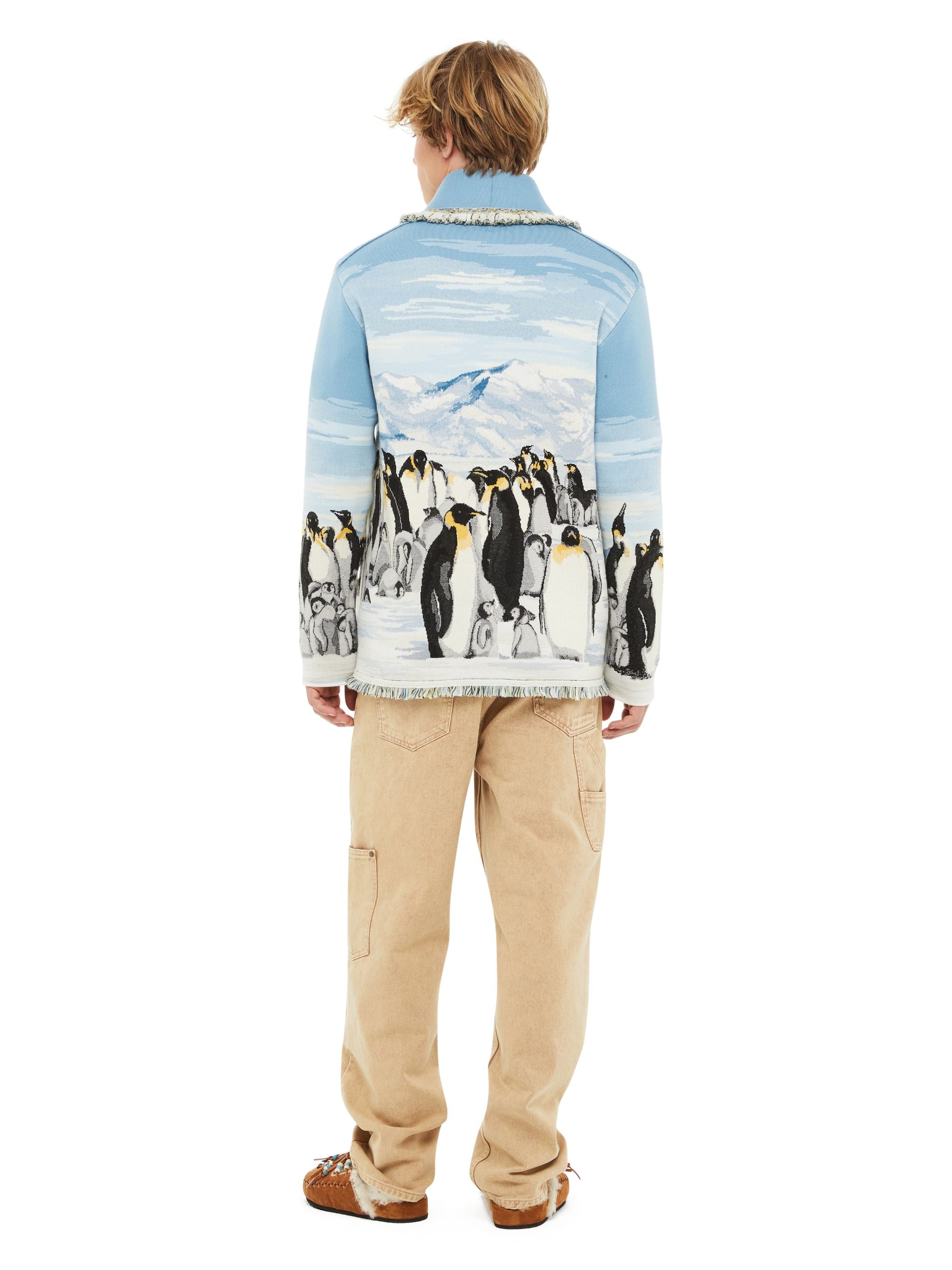 Postcard From Antarctic Cardi - 6