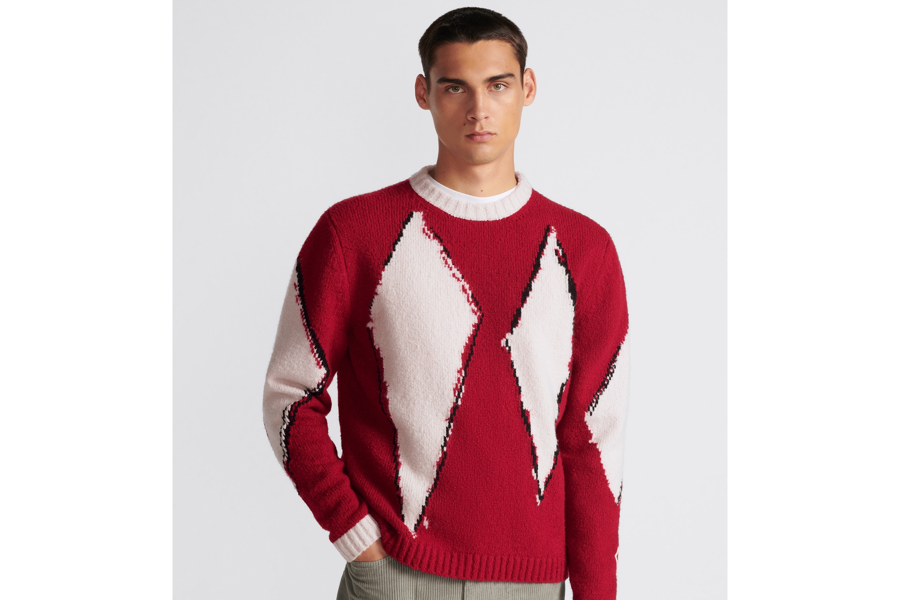 DIOR AND PETER DOIG Sweater - 7