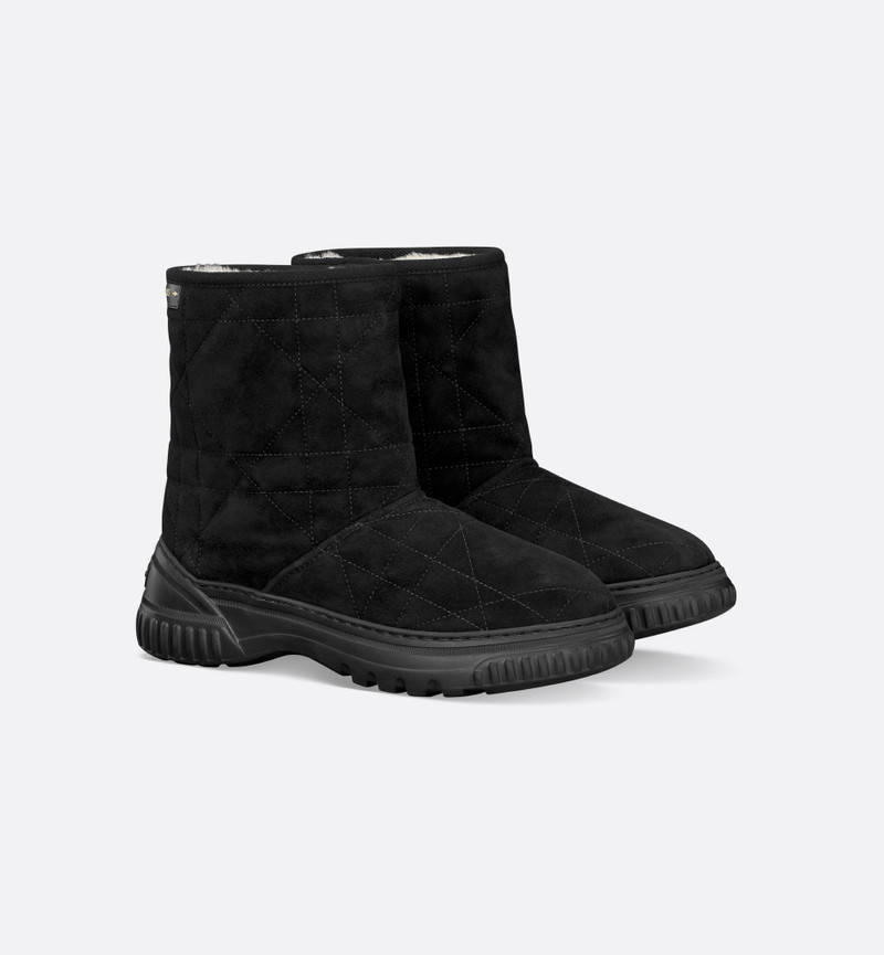 Dior Frost Ankle Boot 1