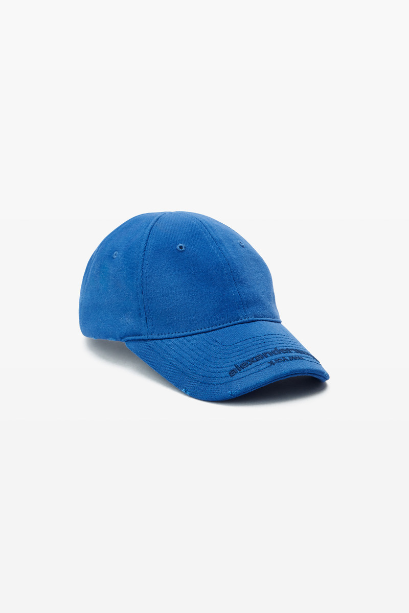 Blue Logo Baseball Cap 1