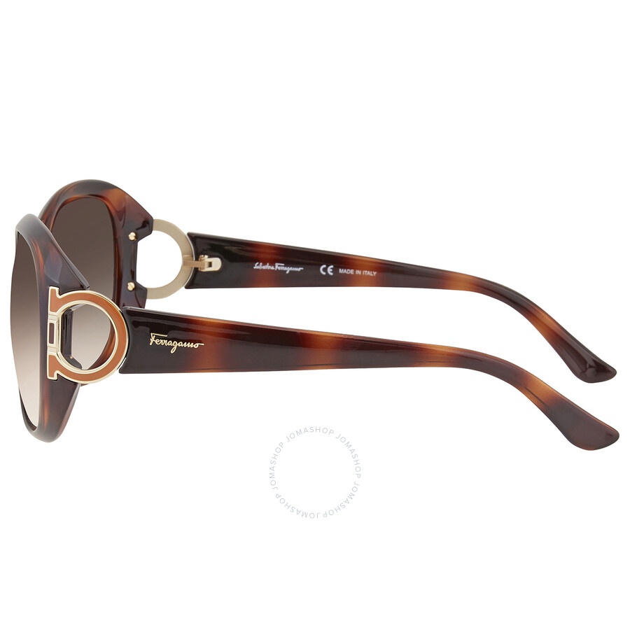 Salvatore Ferragamo Brown Gradient Oval Ladies Sunglasses SF668S 238 57 - 4