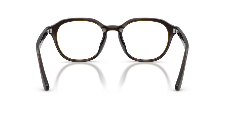 RB7259D OPTICS 6