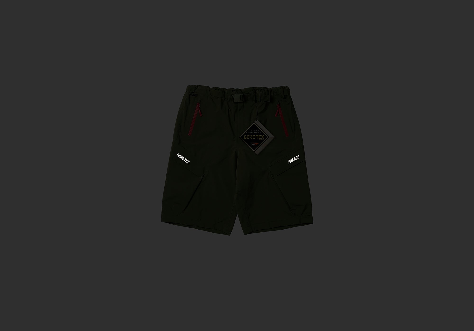 GORE-TEX R-TEK CARGO SHORT OLIVE - 2
