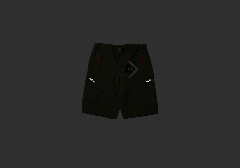 PALACE GORE-TEX R-TEK CARGO SHORT OLIVE outlook