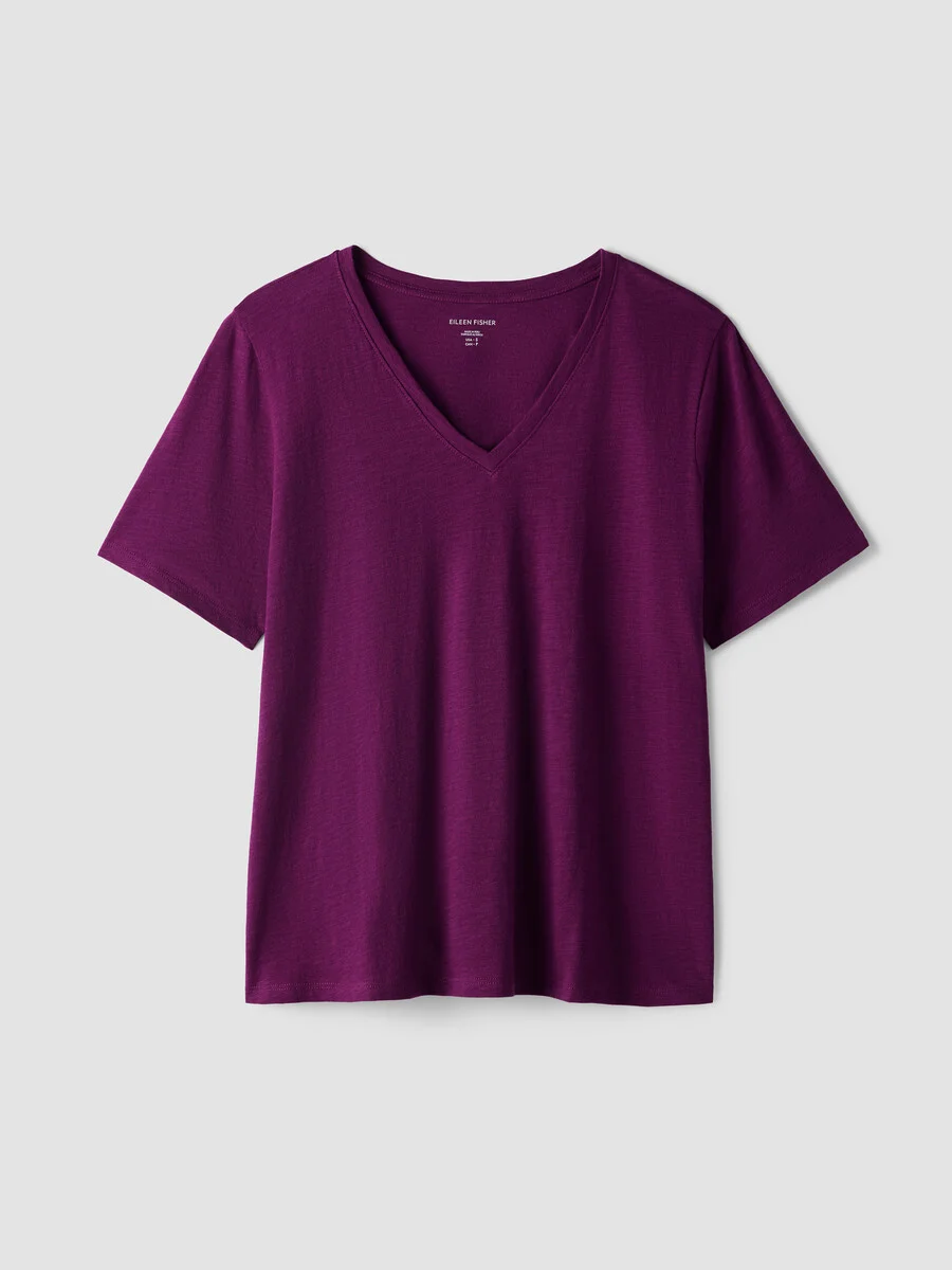 Organic Cotton Slubby Jersey V-Neck Tee - 1
