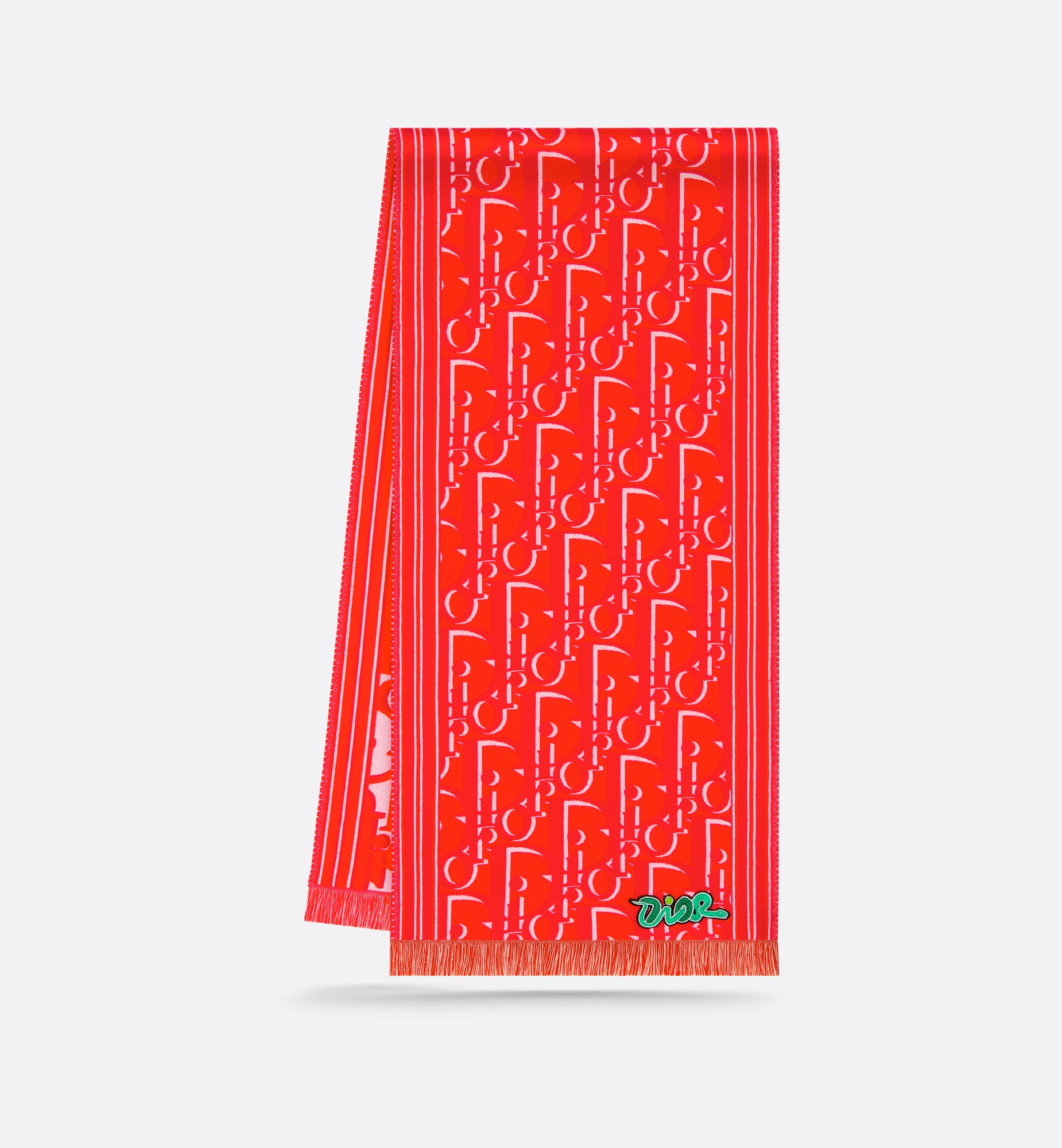 DIOR AND KAWS Scarf - 5