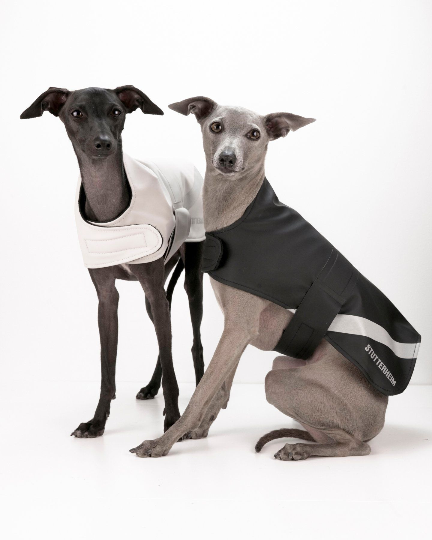 Dog Raincoat Black - 3