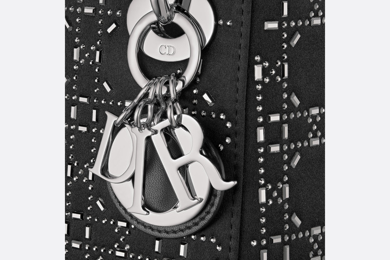 Mini Lady Dior Bag 6