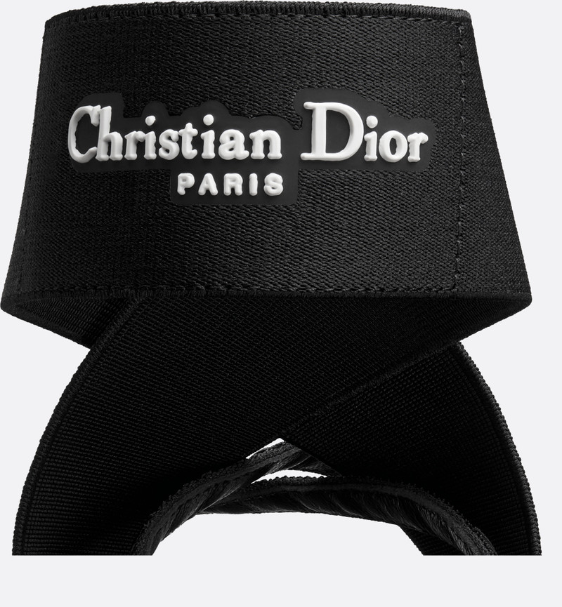 Dior Shade Platform Thong Sandal 4
