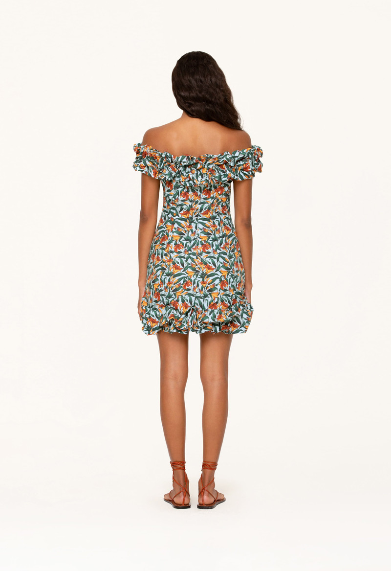 Jardin Monarca Mini Dress 4