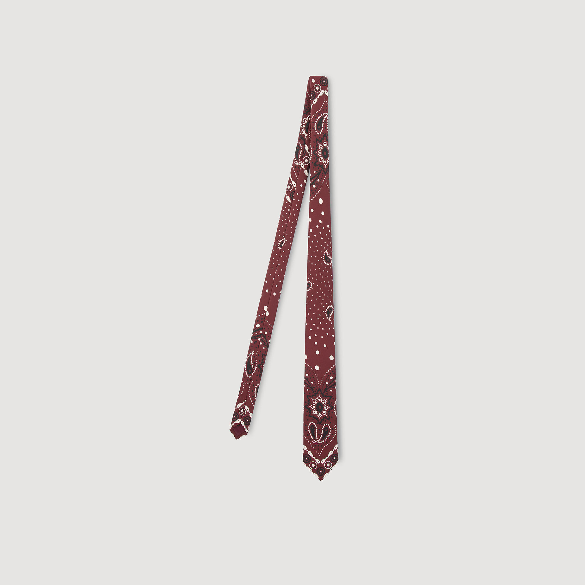 SILK PAISLEY PRINT TIE - 1