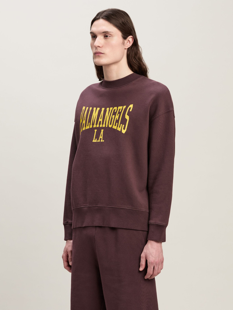 College Sweatshirt 4