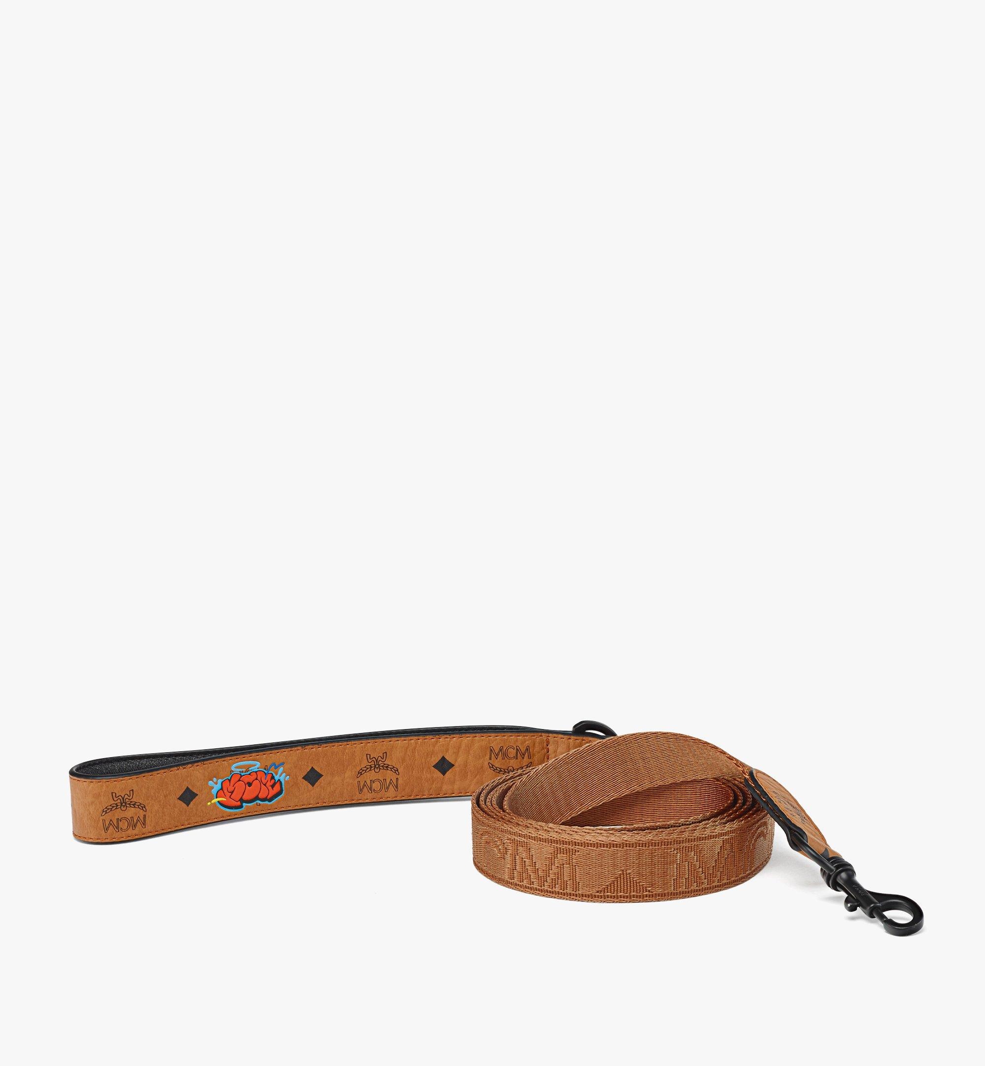 Haru, Henry, Kaiser Pet Leash in Visetos - 3