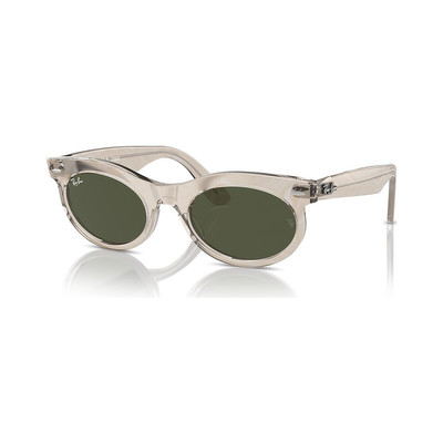 Ray-Ban RB2242 Wayfarer Oval Change outlook