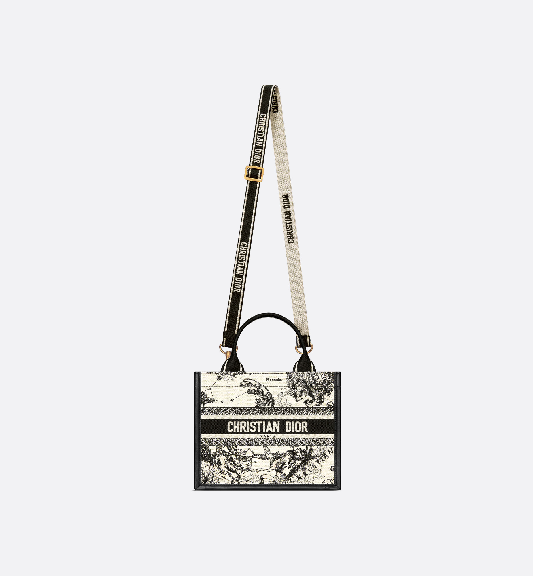 Small Dior Book Tote - 5