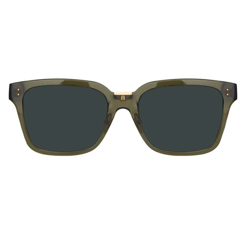 DESIREE D-FRAME SUNGLASSES IN GREEN - 1