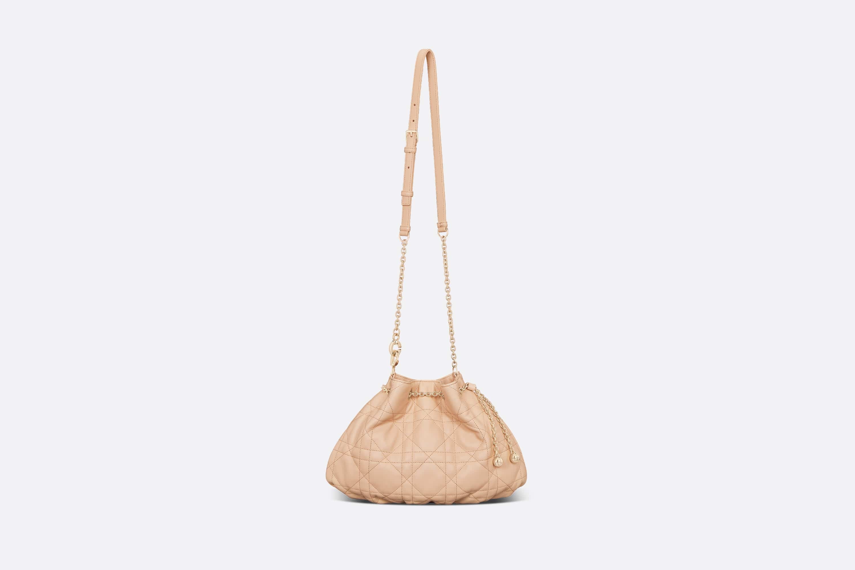 Medium Dior Ammi Bag - 4