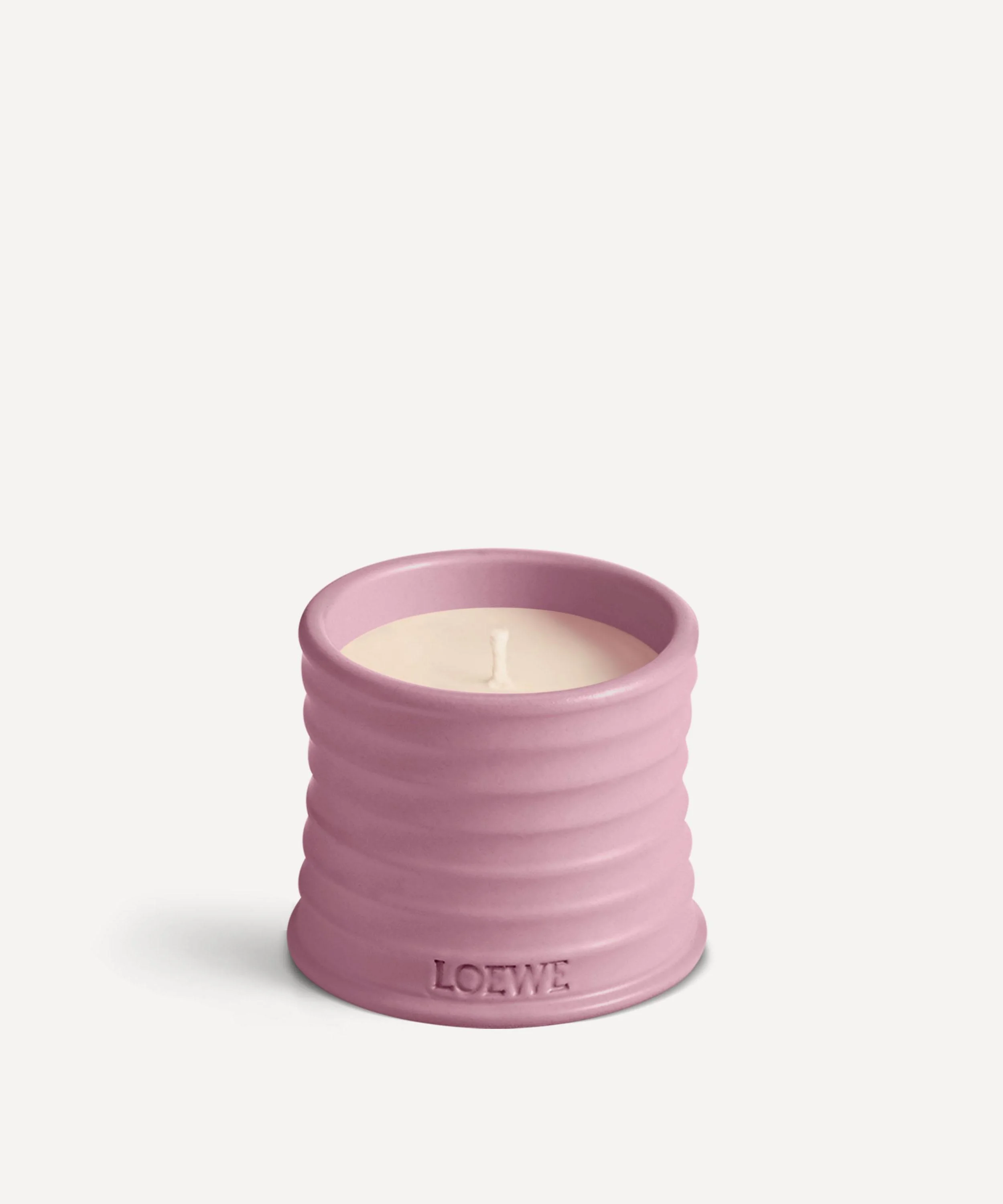 작은 아이비 초 170g - 1