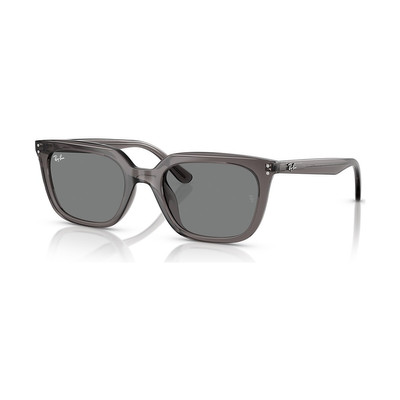 Ray-Ban RB4439D outlook