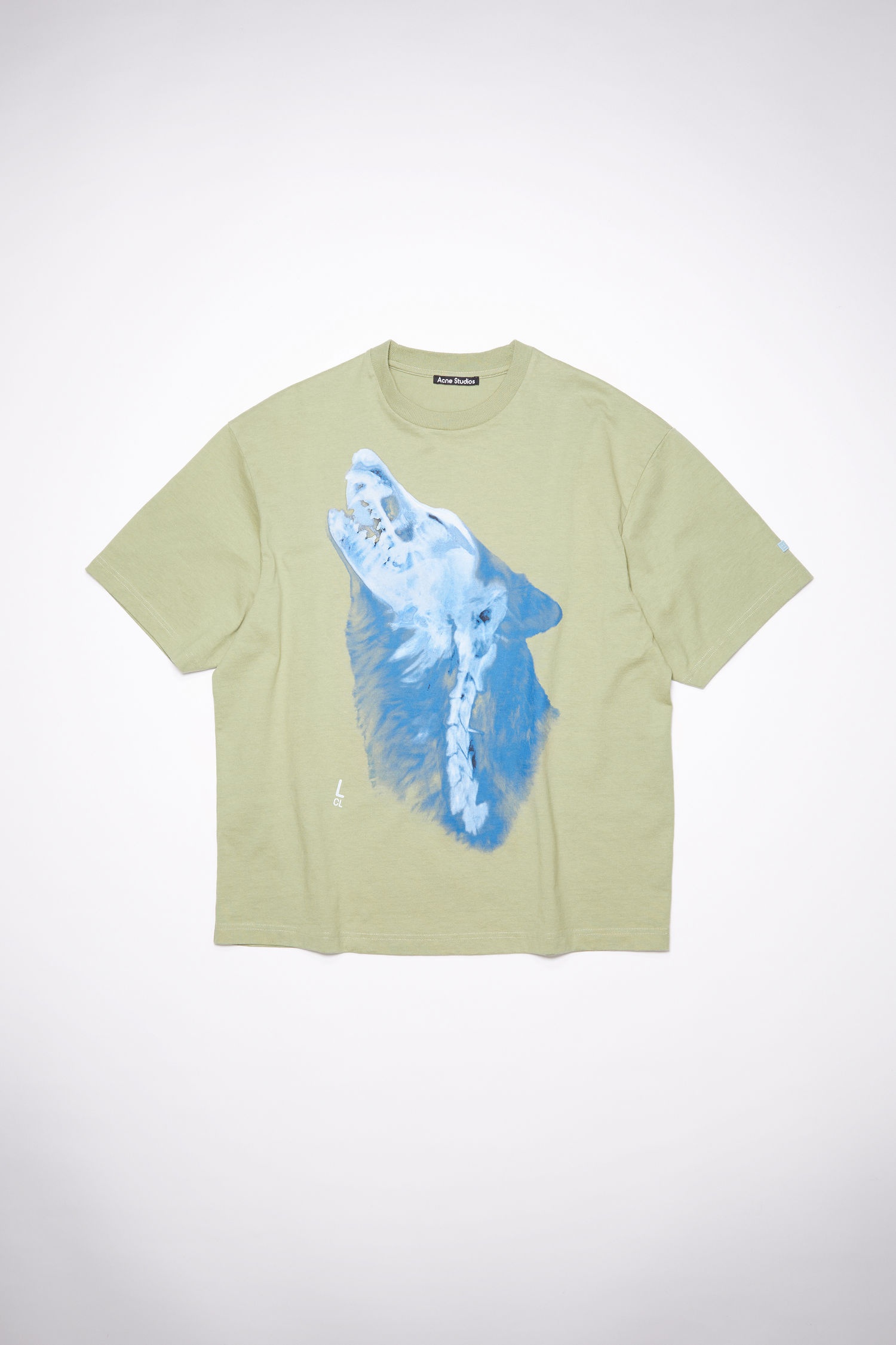 Crew neck t-shirt - Eucalyptus green - 1