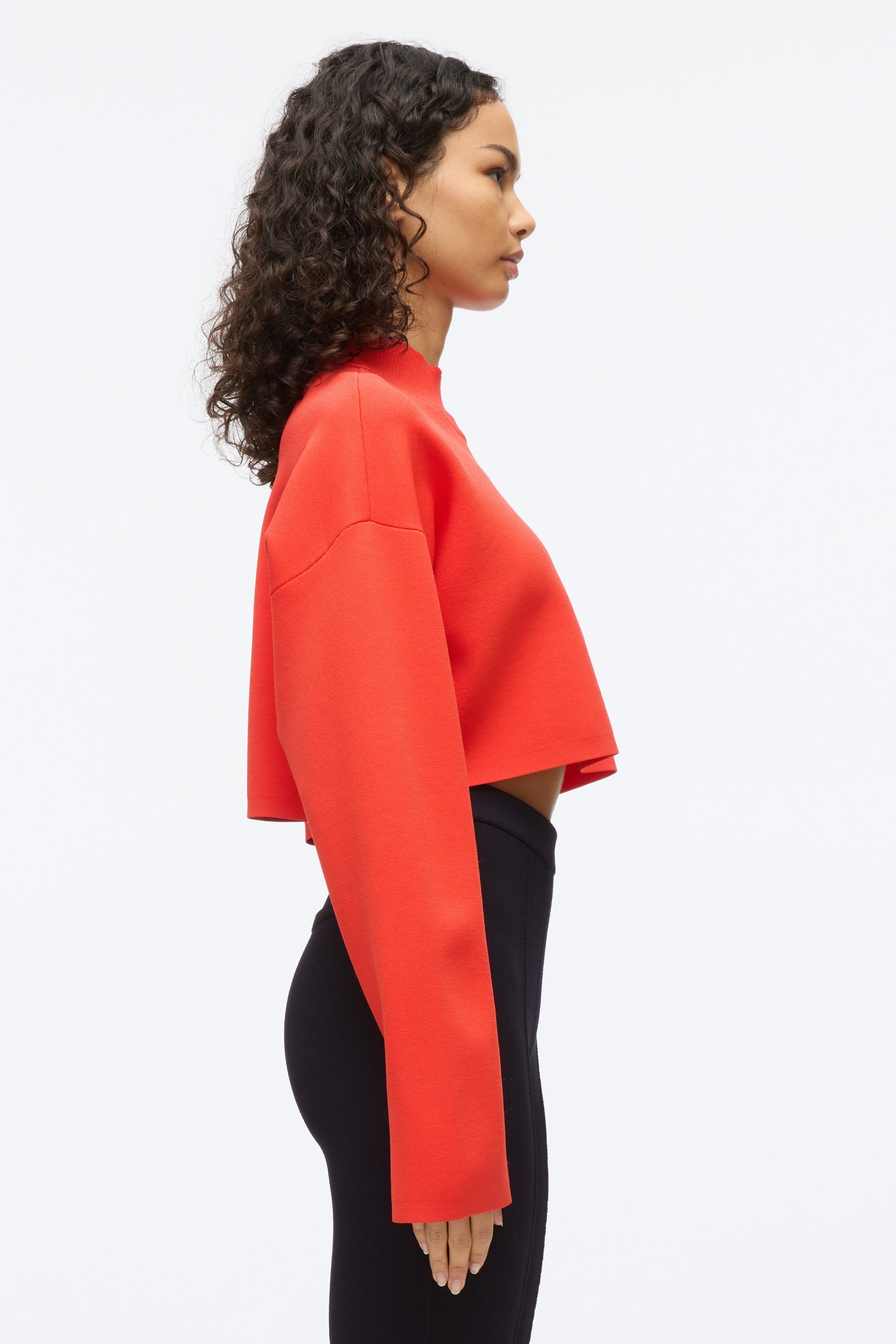 Compact Rib Cropped Turtle Neck - 4