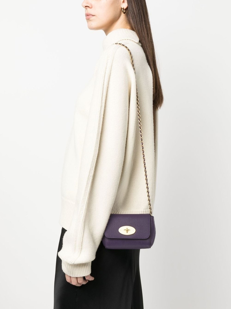 Mulberry chain-link leather crossbody bag outlook