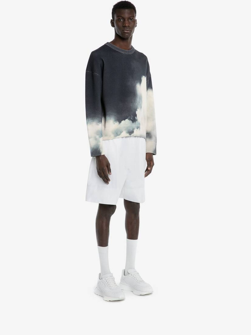 Storm Sky Sweatshirt in Ink/ivory 3