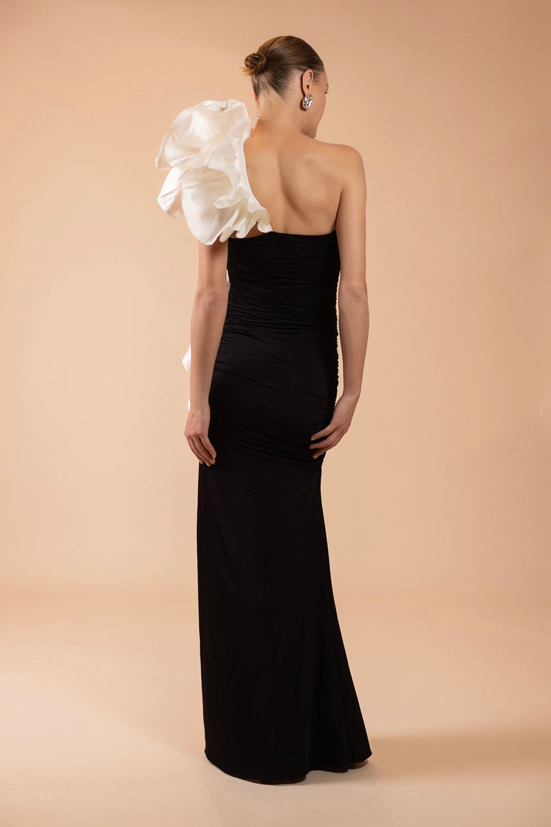 CECILIA TAFETA MAXI DRESS (RUNWAY) 4